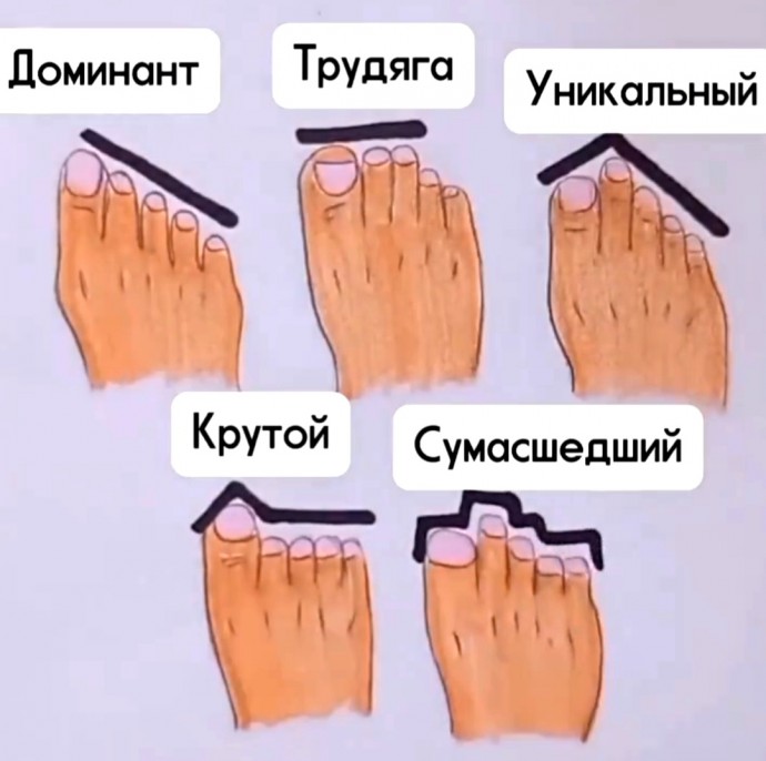 Определение своего типа по рисунку пальцев на ногах Определение своего типа по рисунку пальцев на ногах