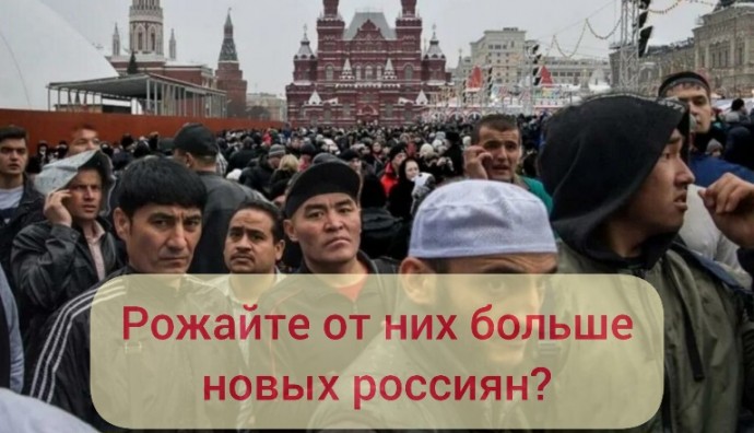 Директор ВЦИОМ Федоров предлагает "подложить россиянок под иммигрантов" ради роста демографии