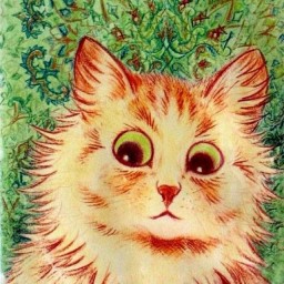 Таня Адамс