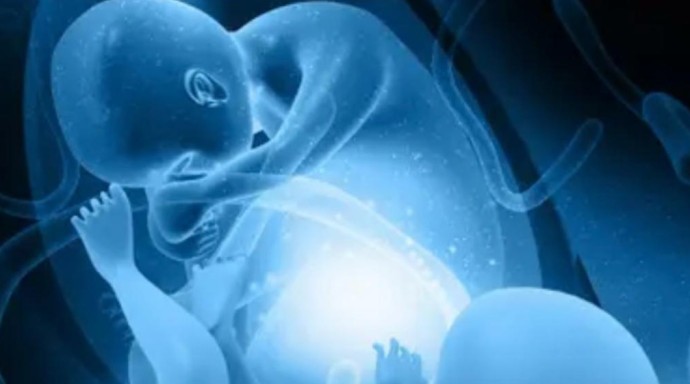 Редчайший случай - египтянка забеременела сразу девятью детьми