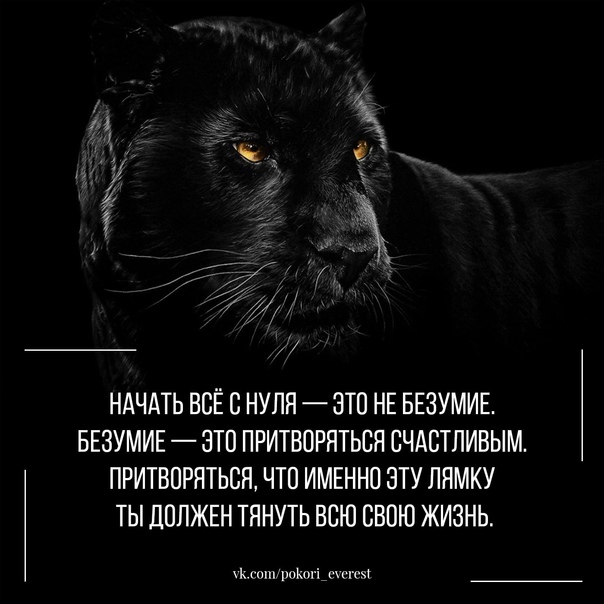 "Начать всё с нуля"