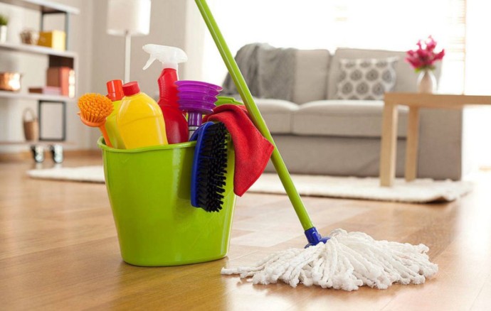 Уборка дома нарушает работу кишечника и приводит к заболеваниям ЖКТ Уборка дома нарушает работу кишечника и приводит к заболеваниям ЖКТ