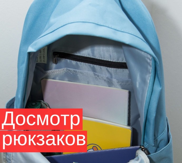 ОПРОС. В школах предлагают ввести досмотр личных вещей учеников