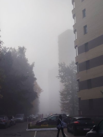 IMG 20261001 11...